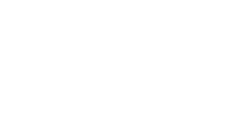 Value Plus logo